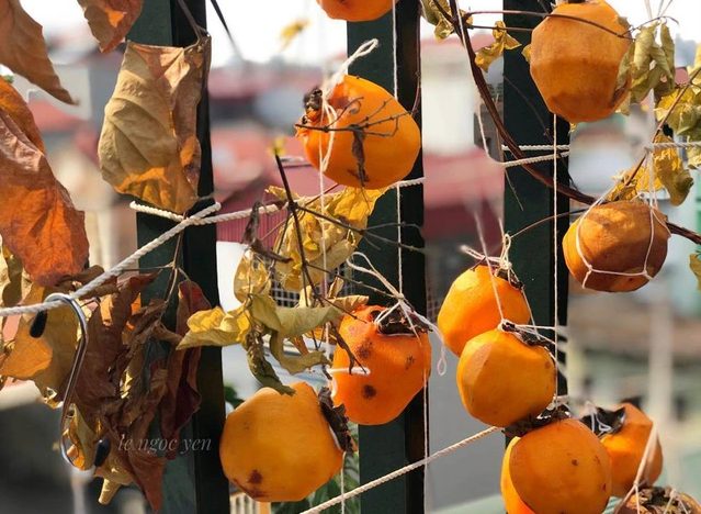 ແນະ​ນຳ​ສິນ​ພິ​ເສດ​ຈຳ​ນວນ​ໜຶ່ງ​ເພື່ອ​ຊື້​ເປັນ​ຂອງຕ້ອນຂອງຝາກ ຂອງ​ດາ​ລາດ - ảnh 1