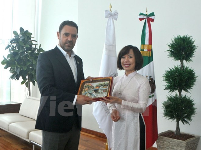 Afianzan cooperación entre localidades vietnamitas y mexicanas - ảnh 1