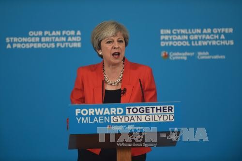 Theresa May alienta su campaña electoral con declaración sobre Brexit - ảnh 1