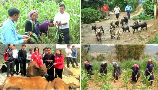 Gobierno vietnamita orienta el desarrollo socioeconómico para el segundo semestre del año - ảnh 1