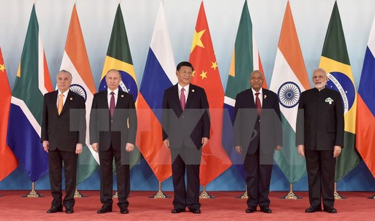 Brics propone la reforma de la ONU y el Consejo de Seguridad - ảnh 1