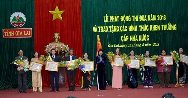   Lanzan movimiento de emulación patriótica en la altiplanicie de Gia Lai - ảnh 1