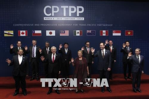 México, primer país en avalar el CPTPP - ảnh 1