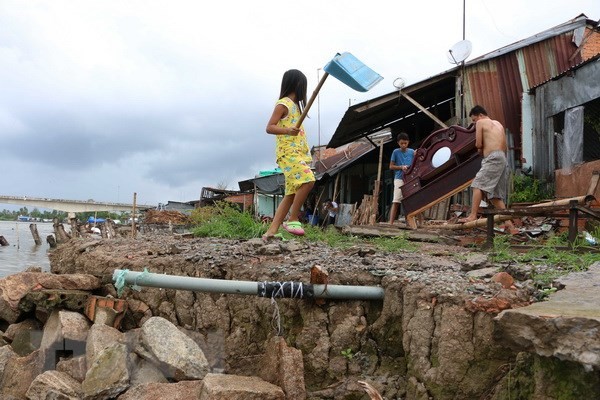 Vietnam reitera compromisos a trabajar con la región para enfrentar el cambio climático - ảnh 1