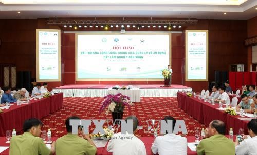 Vietnam celebra el Día Mundial de Lucha contra la Desertificación - ảnh 2