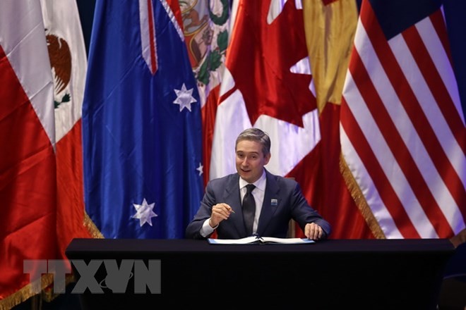 Canadá da prioridad a la aprobación del CPTPP - ảnh 1