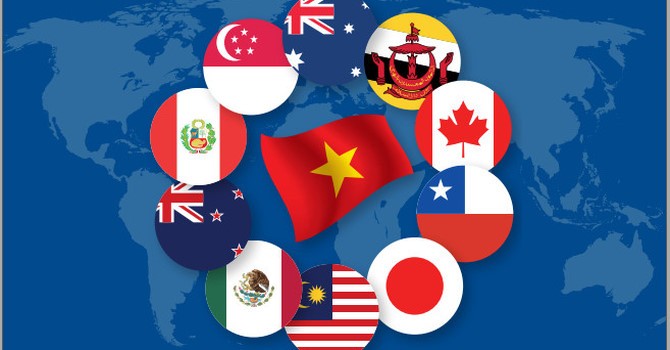 CPTPP: Oportunidades y desafíos para el desarrollo de Vietnam - ảnh 1