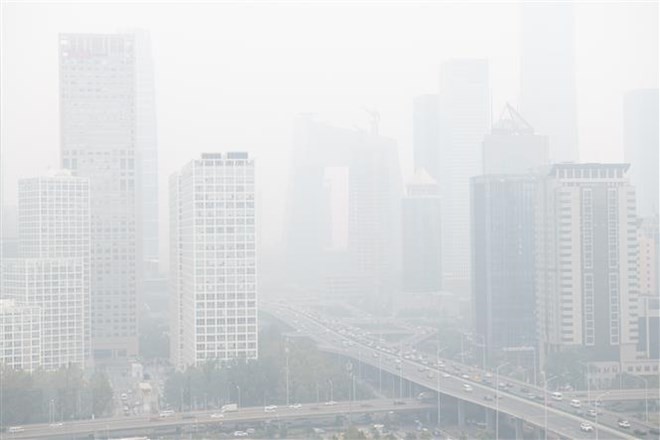 Acuerdo de París podría salvar a millones de personas, afirma COP 24 - ảnh 1