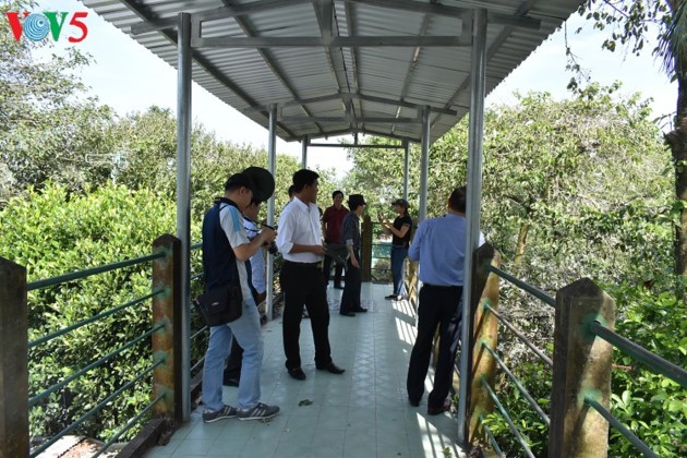 Parque de cigüeñas de Bang Lang ofrece especialidad turística del sur de Vietnam - ảnh 2