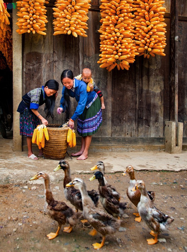 Mu Cang Chai tranquilo en invierno - ảnh 11