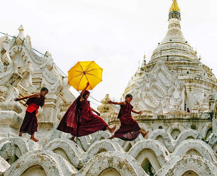 Vietnam gana premios en concurso fotográfico internacional en la India - ảnh 1