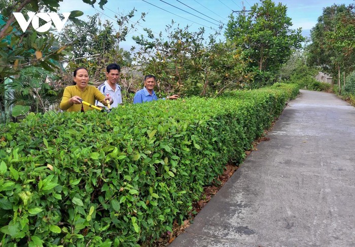 Áreas poblacionales ejemplares embellecen las zonas rurales - ảnh 1