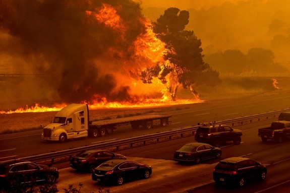 Comunidad internacional intensifica esfuerzos por hacer frente al cambio climático - ảnh 1