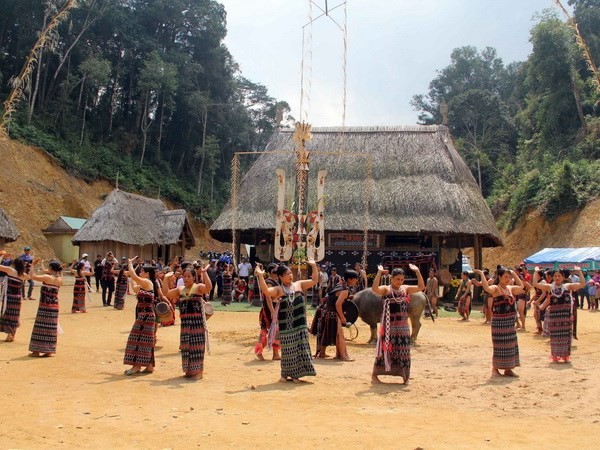 Diversidad cultural para el diálogo y el desarrollo - ảnh 7