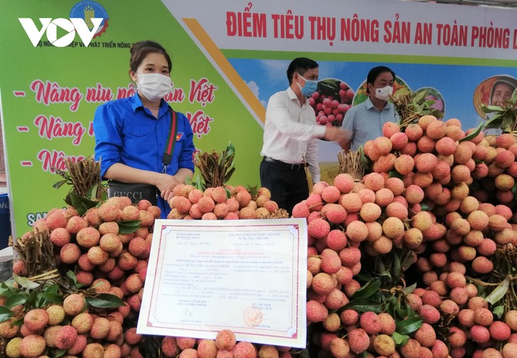 Tareas clave para el desarrollo socioeconómico en el contexto del covid-19 en Vietnam - ảnh 3