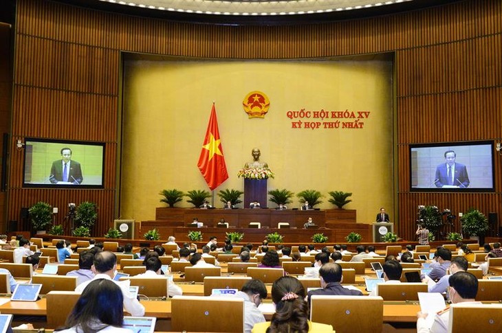 Diputados vietnamitas aprecian la fundación del Grupo de Trabajo especial para los proyectos de inversión - ảnh 1