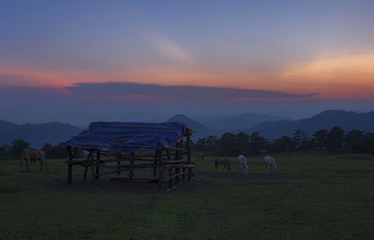 Caballos blancos en la colina de Khau Sao  - ảnh 13