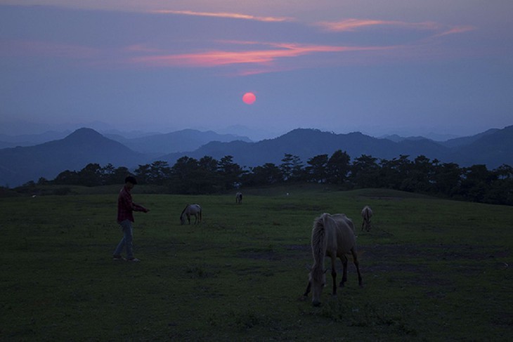 Caballos blancos en la colina de Khau Sao  - ảnh 14