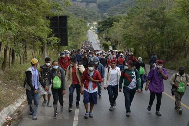 Expertos evalúan impactos del cambio climático en la ola migratoria en Centroamérica - ảnh 1