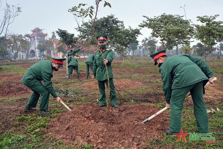 Festival de plantación 2022 tiene como objetivo promover la protección forestal - ảnh 1