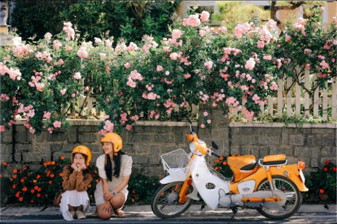 Da Lat entre los mejores destinos florales del mundo - ảnh 4