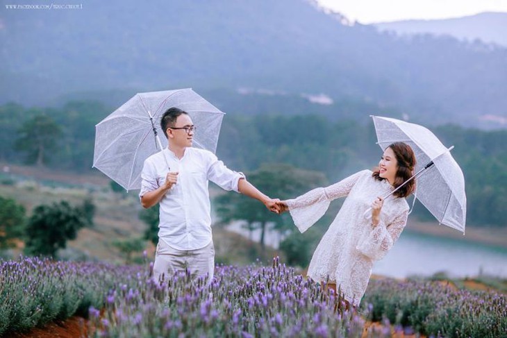 Da Lat entre los mejores destinos florales del mundo - ảnh 5