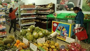 僻地や山岳地帯の市場におけるベトナム製品の販売強化 - ảnh 1