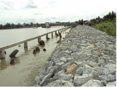 ベトナムの海岸堤防の発展 - ảnh 2