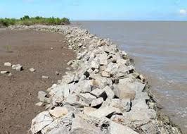 ベトナムの海岸堤防の発展 - ảnh 1