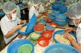 企業への補助強化 - ảnh 1