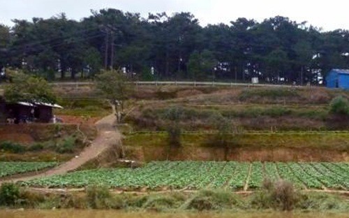 全国民の土地所有権の必要性 - ảnh 2