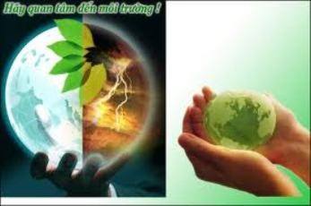 持続可能な開発へ向けた環境保全 - ảnh 1