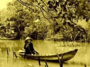 ベトナム南部の民謡 - ảnh 1