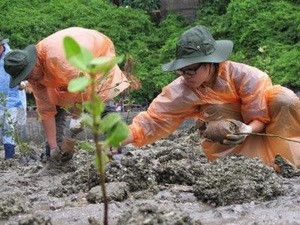 日越両国の学生、共同植林 - ảnh 1