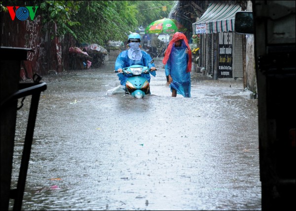 台風後のハノイ - ảnh 1