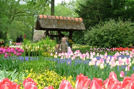 ダラトにおける観光文化週間2013 - ảnh 1