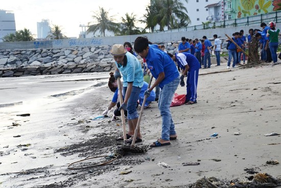 ダナン、市内大掃除を開催 - ảnh 1