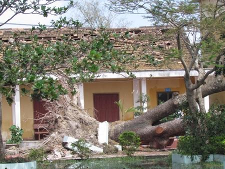 台風ウーティップ、深刻な被害を引き起こす(2) - ảnh 3