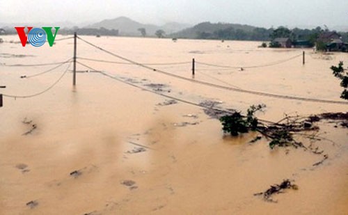 台風11号、深刻な被害をもたらす - ảnh 1