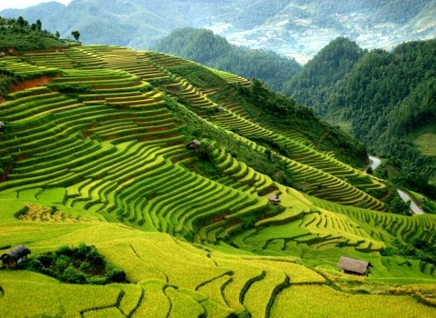 ラオカイ省、まもなくサパ観光開始110周年を記念 - ảnh 1