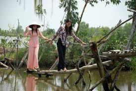 中年層に人気のある歌 - ảnh 1