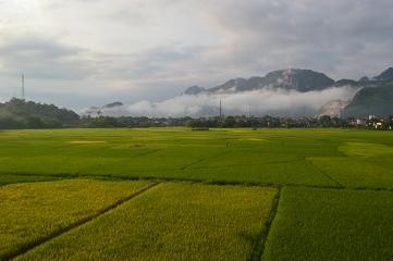 北部山岳地帯の農業発展 - ảnh 1