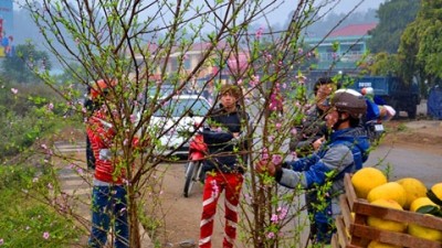 ラオカイ省、花市でにぎわう - ảnh 1