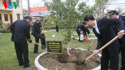 国内各地、植林運動を開始 - ảnh 1