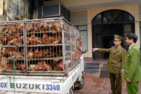 北部国境地方、鳥インフルエンザ対策を強化 - ảnh 1