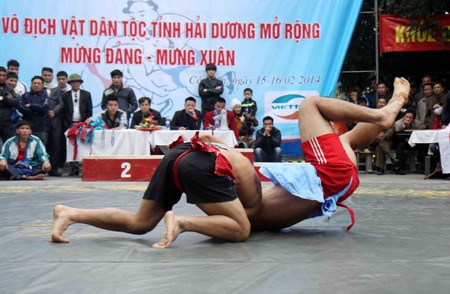 様々な文化スポーツ活動が開催、国内各地 - ảnh 1