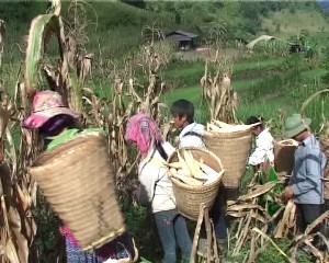 飢餓一掃貧困解消を目指すバクカン省 - ảnh 1