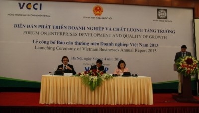 世銀、越企業年次報告書を発表 - ảnh 1