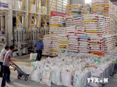 アイルランド、ベトナム経済を評価 - ảnh 1