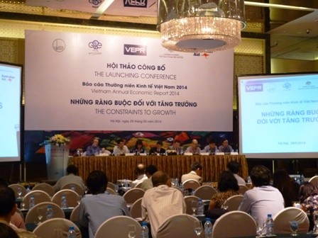 経済政策研究所、経済年次報告発表 - ảnh 1